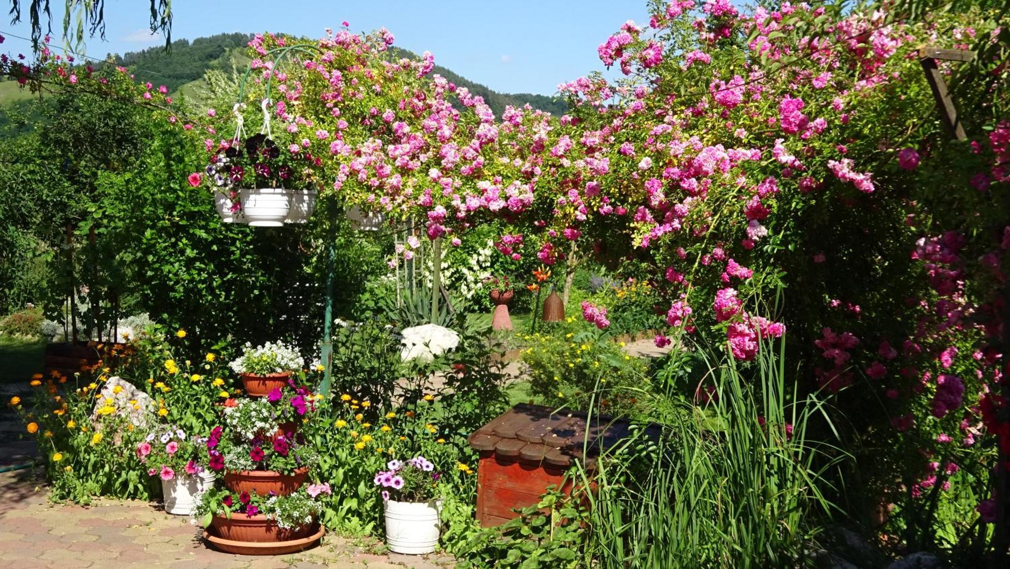Holiday Vendeghaz Es Szabadidokert Jardanhaza Εξωτερικό φωτογραφία